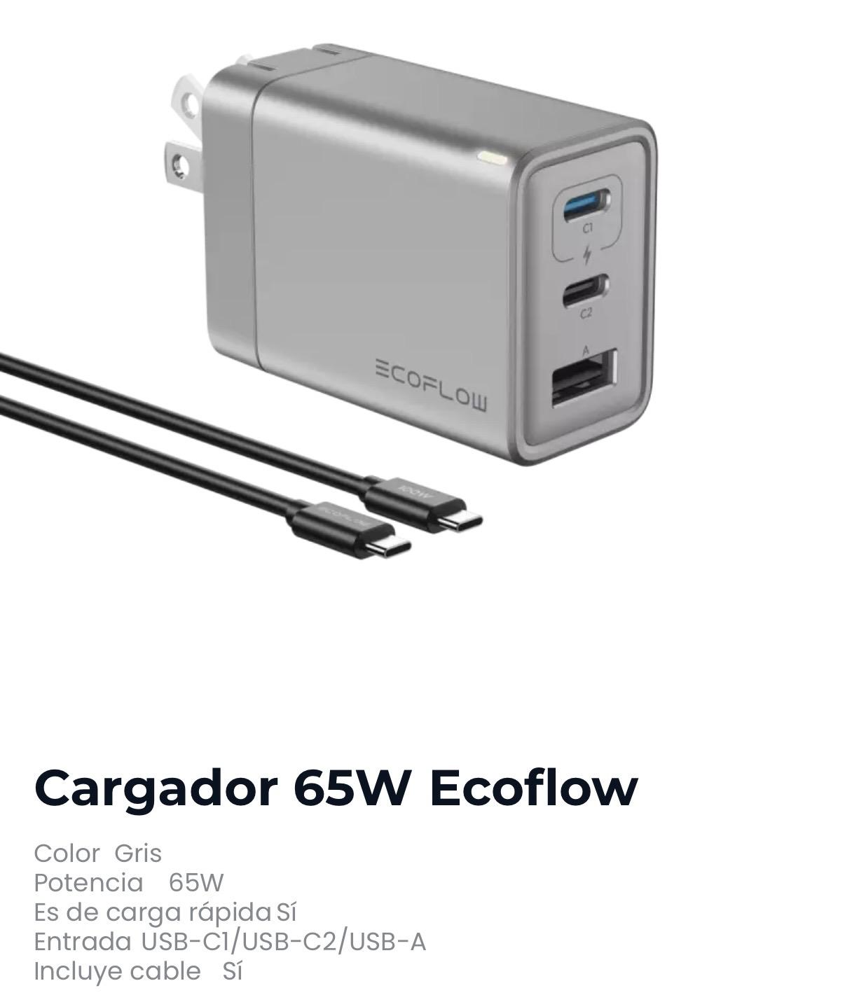 Cargador Ecoflow de 65W con cable de 100W